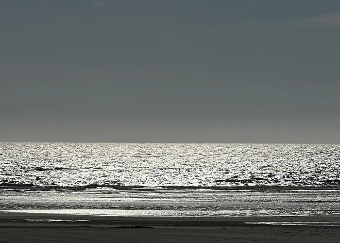 Appartement Résidence De L'hermitage, T2 Avec Parking